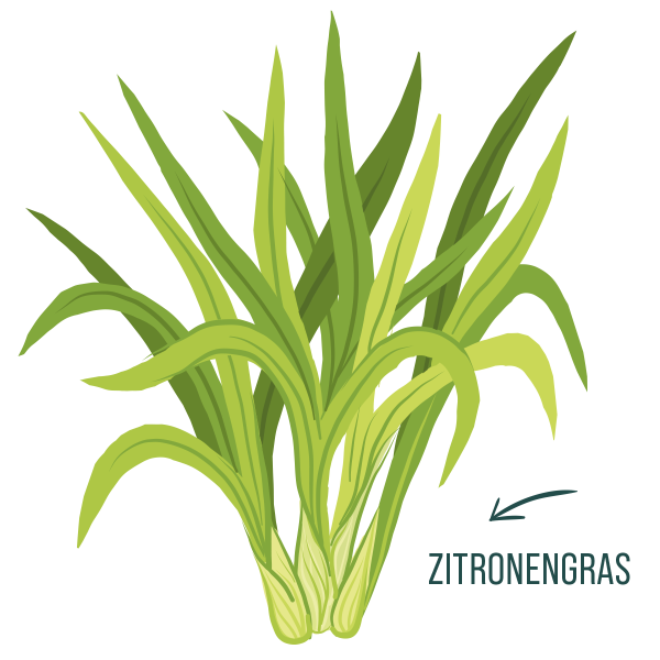 Zitronengras - Naturseife - MT Naturprodukte